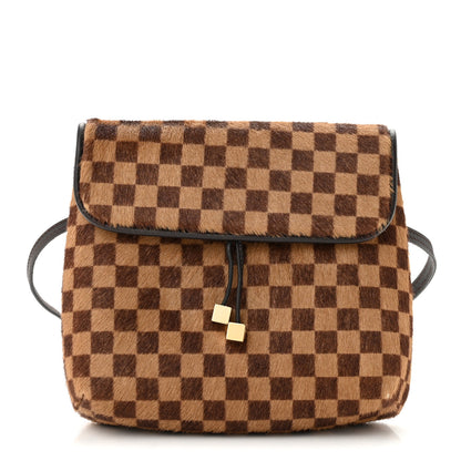 Louis Vuitton Damier Sauvage Gazelle Pochette 1 of 12
