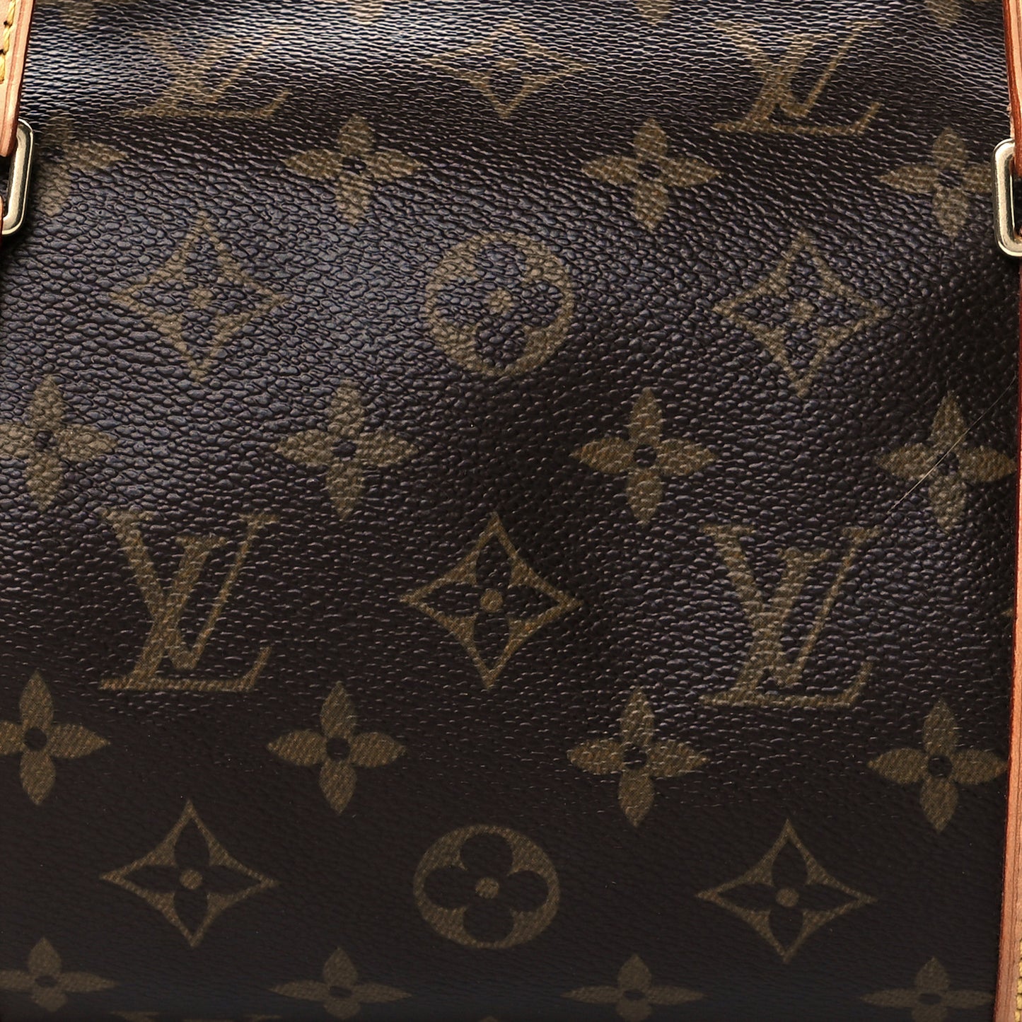 Monogram Papillon 30 With Companion