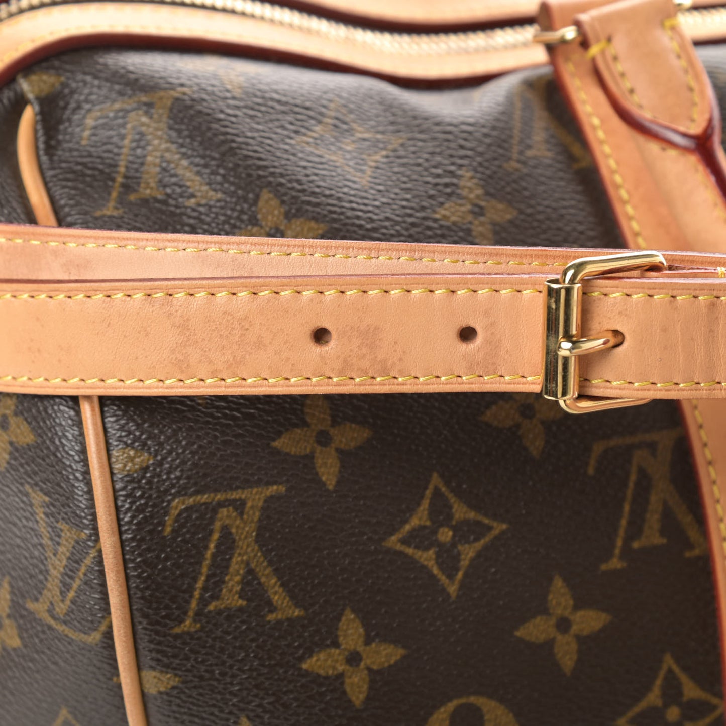 Monogram Sofia Coppola Speedy