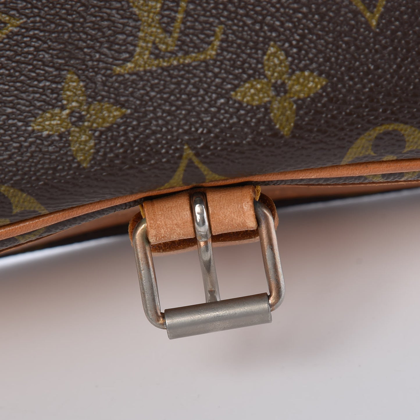 Monogram Cartouchiere 22