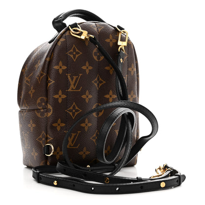 Louis Vuitton Monogram Palm Springs Backpack Mini 3 of 11