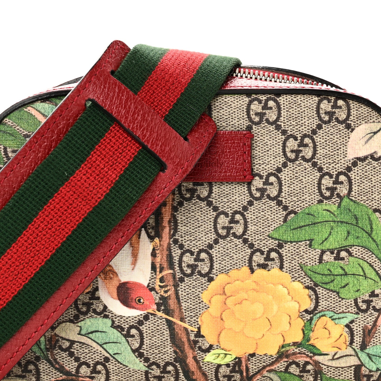 GG Supreme Monogram Tian Web Small Camera Bag Beige Multicolor Red