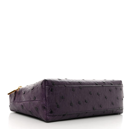 Loro Piana Ostrich L19 Extra Pocket Pouch 4 of 10
