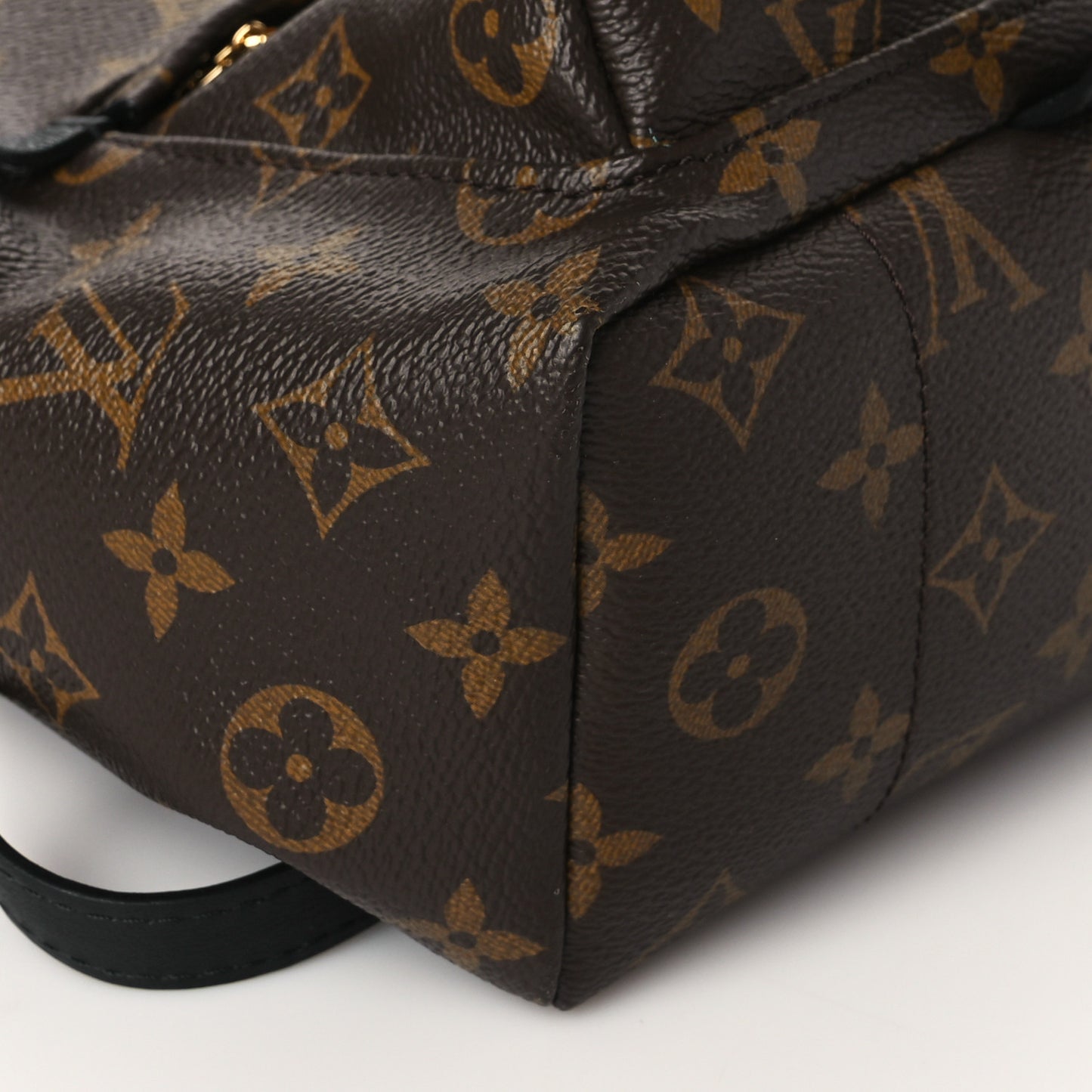 Monogram Palm Springs Backpack PM