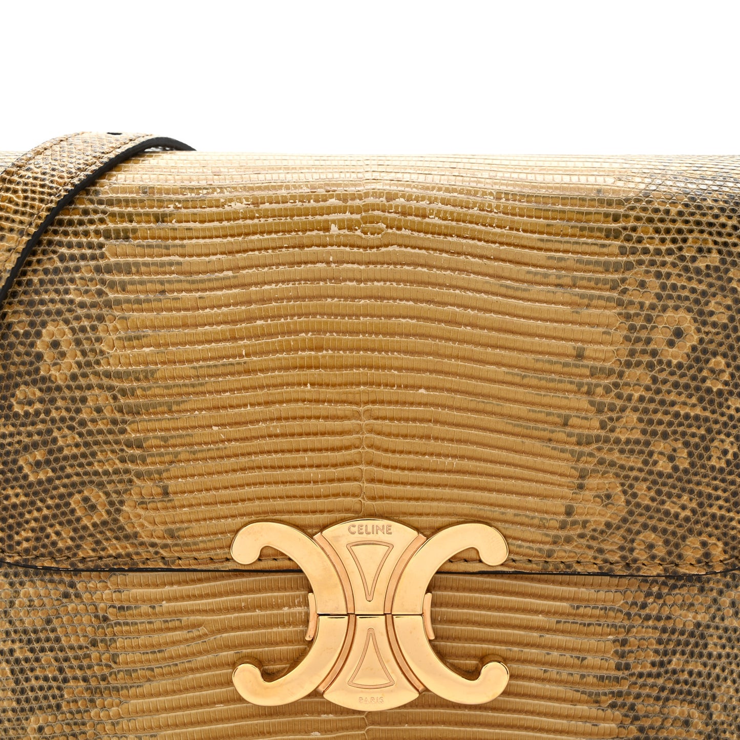 Lizard Teen Triomphe Ochre
