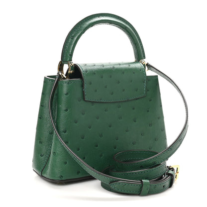 Louis Vuitton Ostrich Capucines Mini Mint 3 of 10