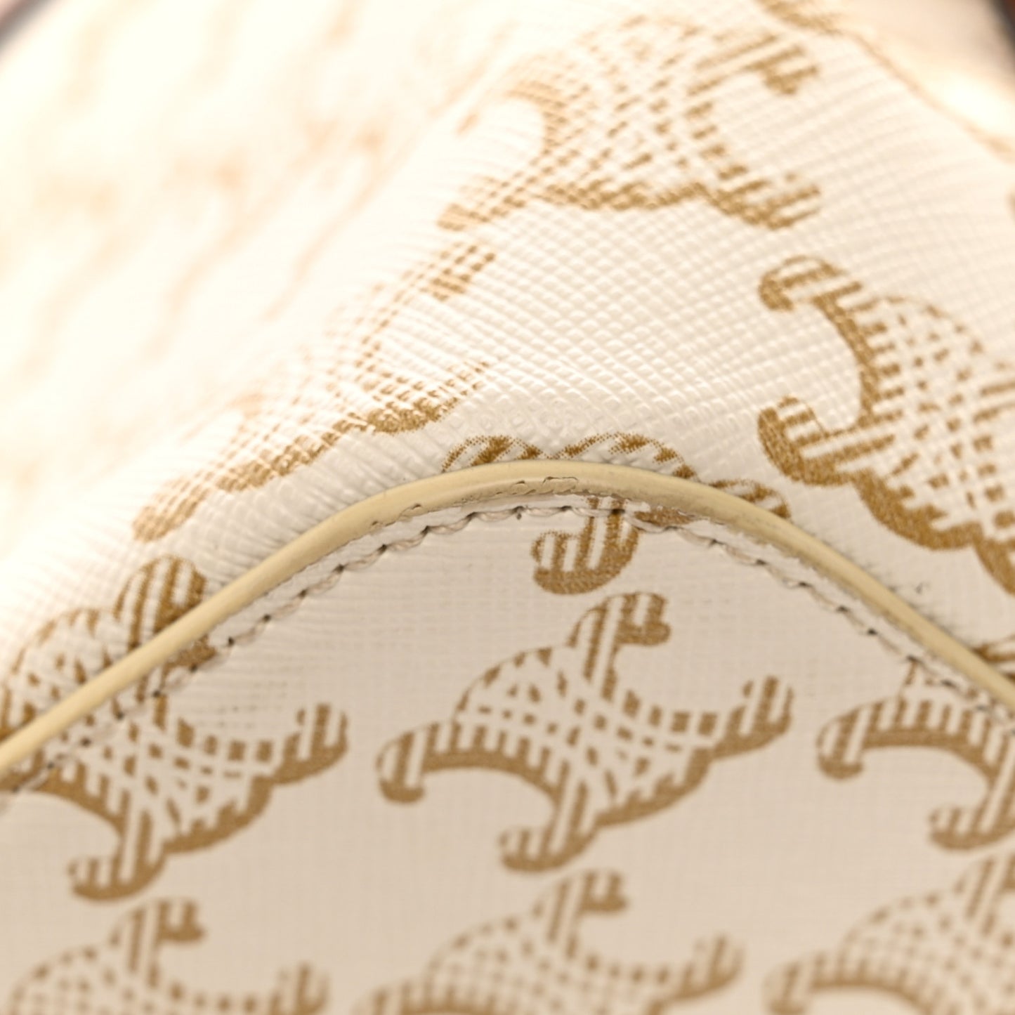 Calfskin Canvas Triomphe Teen Cabas De France White