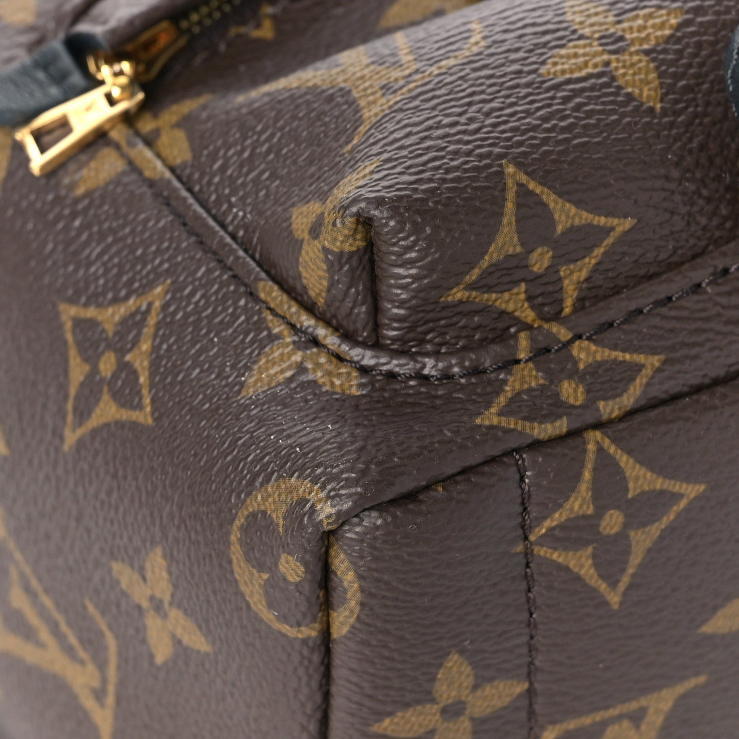 Monogram Palm Springs Backpack Mini