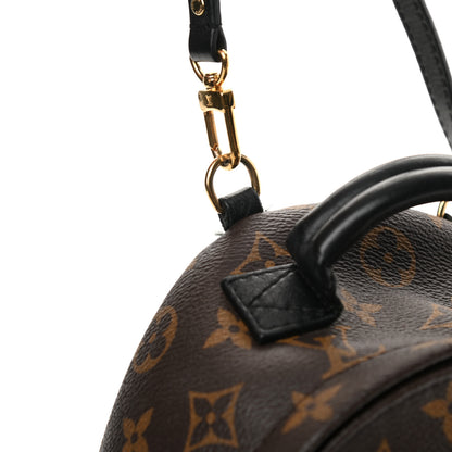 Louis Vuitton Monogram Palm Springs Backpack Mini 16 of 18