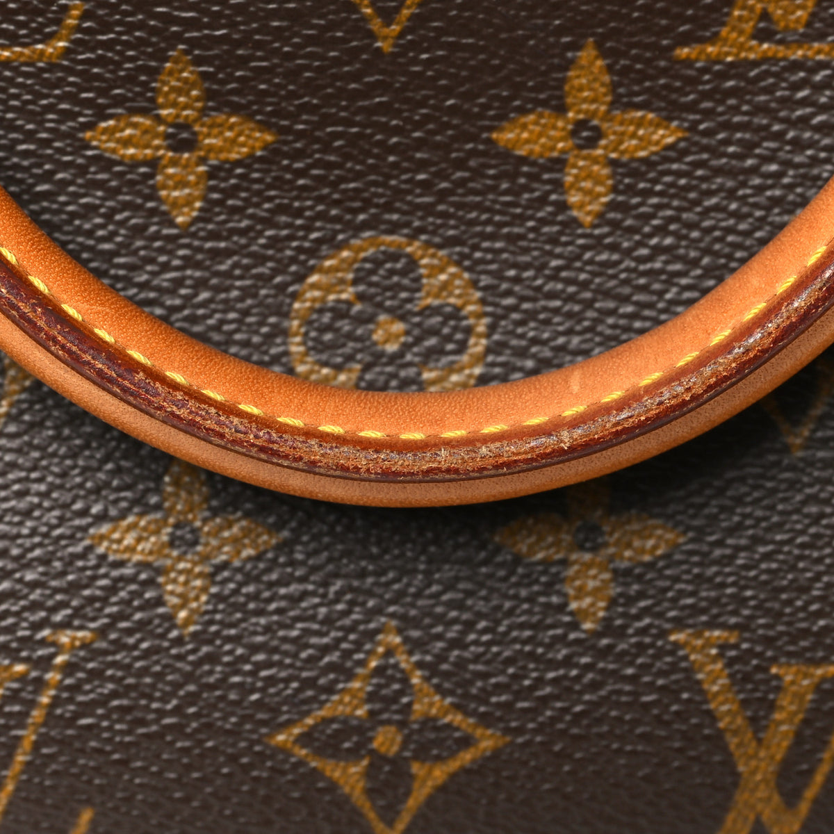 Louis Vuitton Monogram Ellipse PM 10 of 10