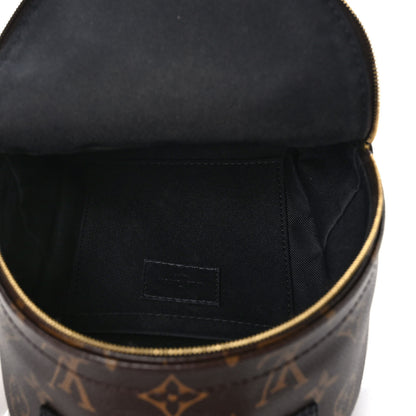 Louis Vuitton Monogram Palm Springs Backpack Mini 5 of 11