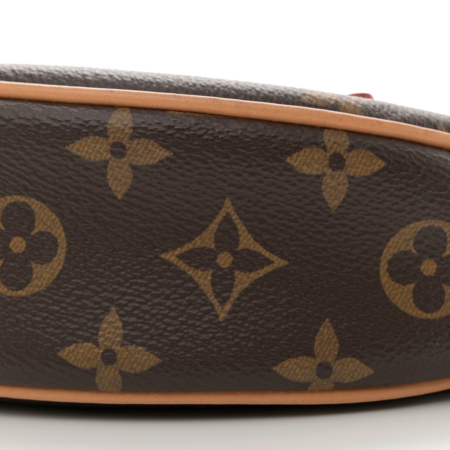 Louis Vuitton Monogram Loop 9 of 12