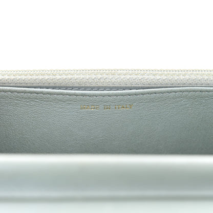 Chanel Lizard Wallet on Chain WOC Light Grey 8 of 19