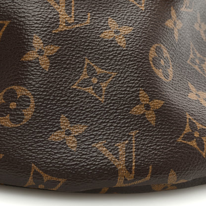 Louis Vuitton Monogram Bumbag 7 of 10