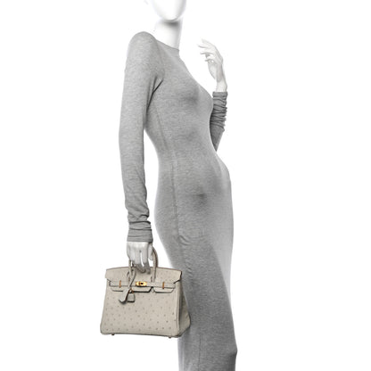 Hermes Ostrich Birkin 25 Gris Perle 2 of 11