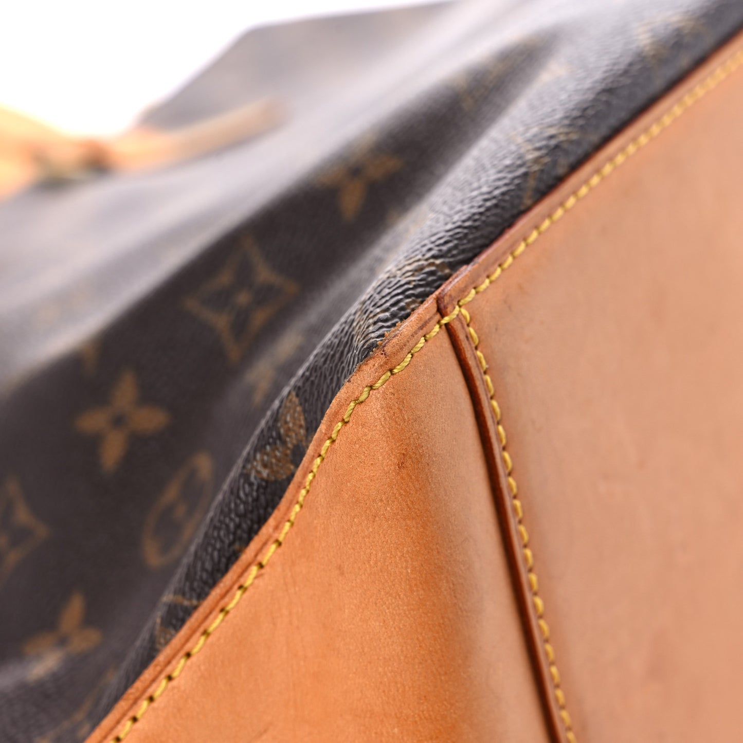 Monogram Cabas Mezzo