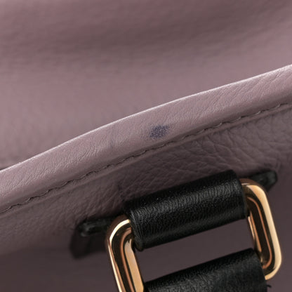 Loewe Calfskin Barroco Amazona 36 Lilac 12 of 12