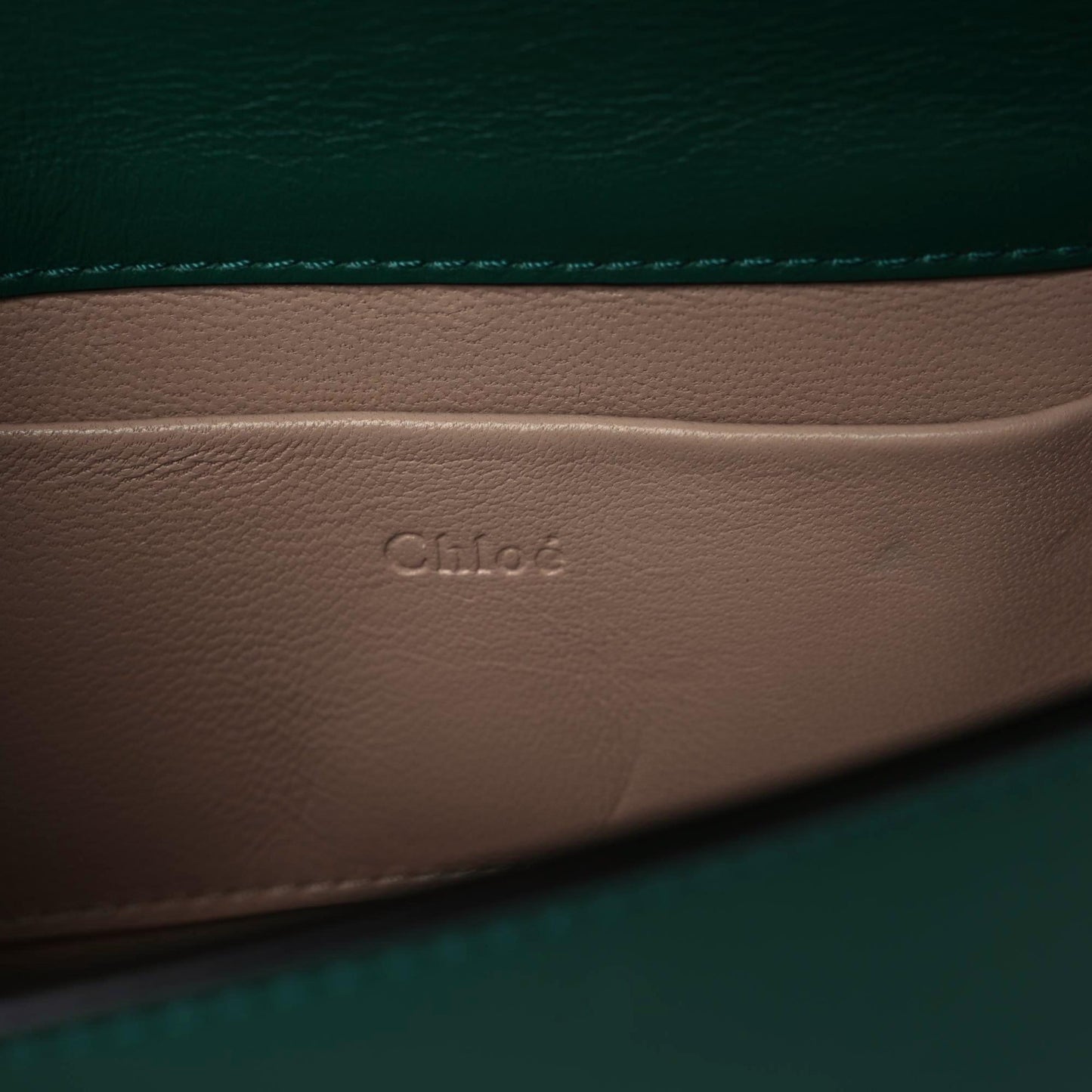 Calfskin Crocodile Embossed Small Nile Bracelet Minaudiere Bag Woodsy Green