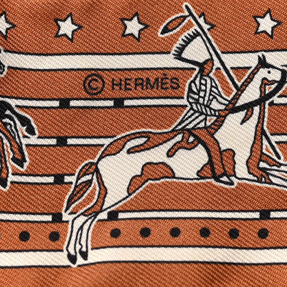 Hermes Silk Pani La Shar Pawnee Twilly Beige Rouille Rouge 3 of 4