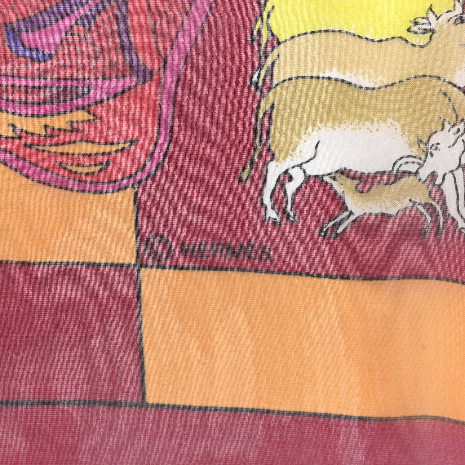 Hermes Mousseline Silk Fantaisies Indiennes Shawl 140 5 of 6
