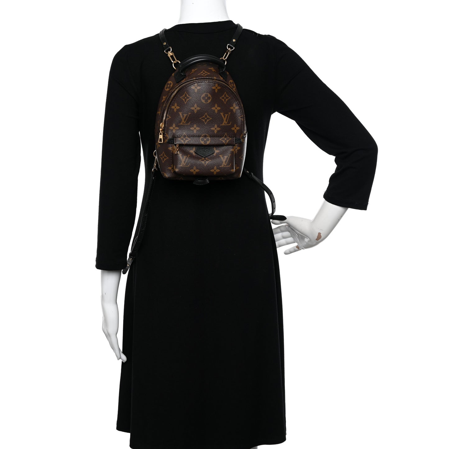 Monogram Palm Springs Backpack Mini