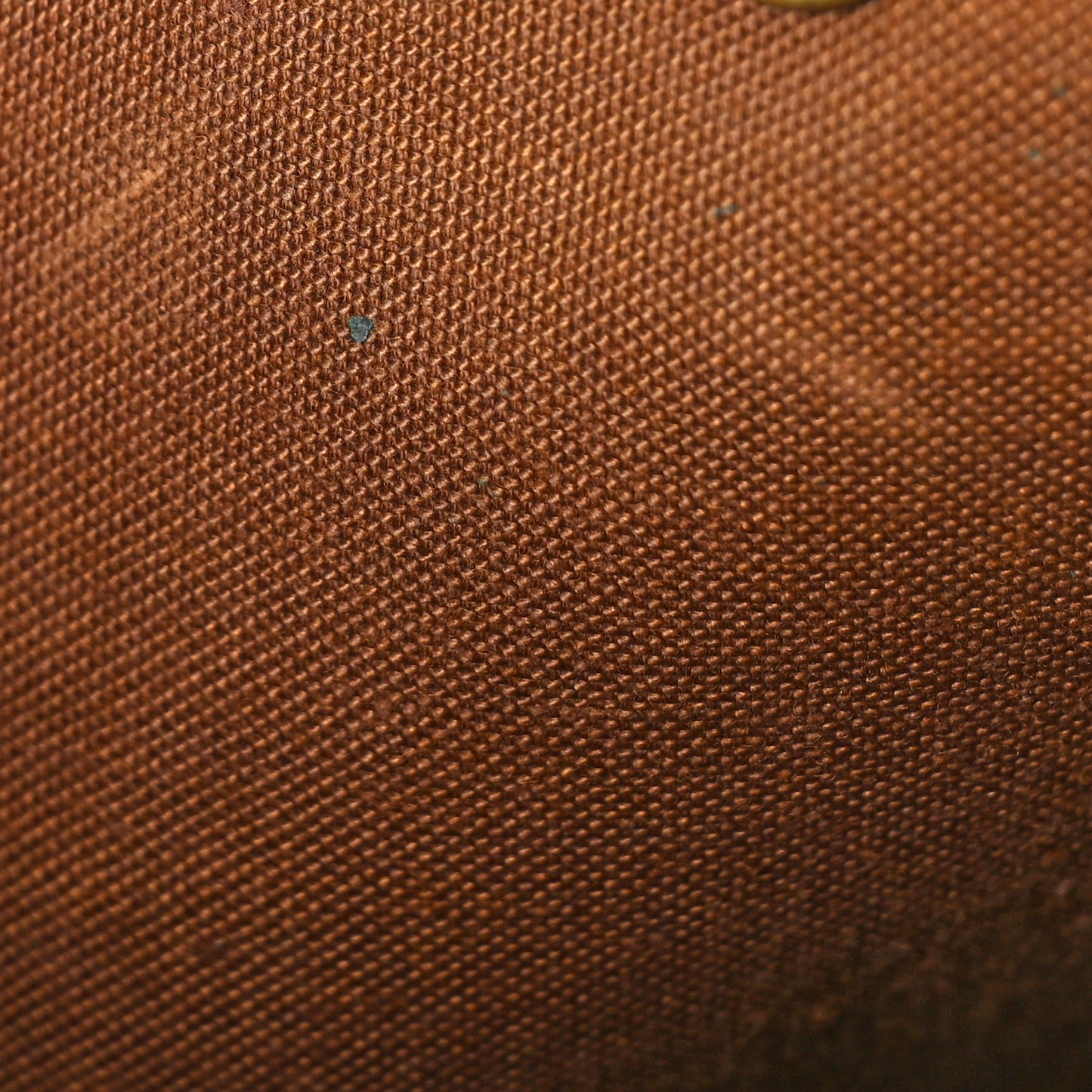 Monogram Petit Noe