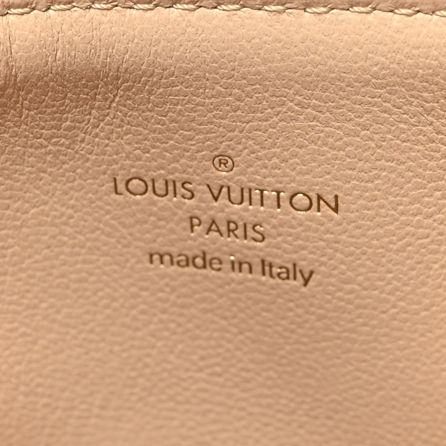 Louis Vuitton Lambskin Embossed Monogram Tricolor By The Pool Coussin BB Beige 8 of 11