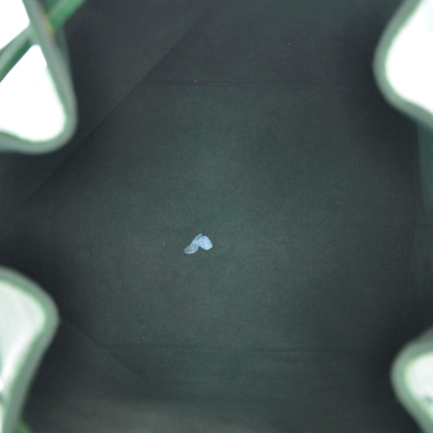 Epi Petit Noe Borneo