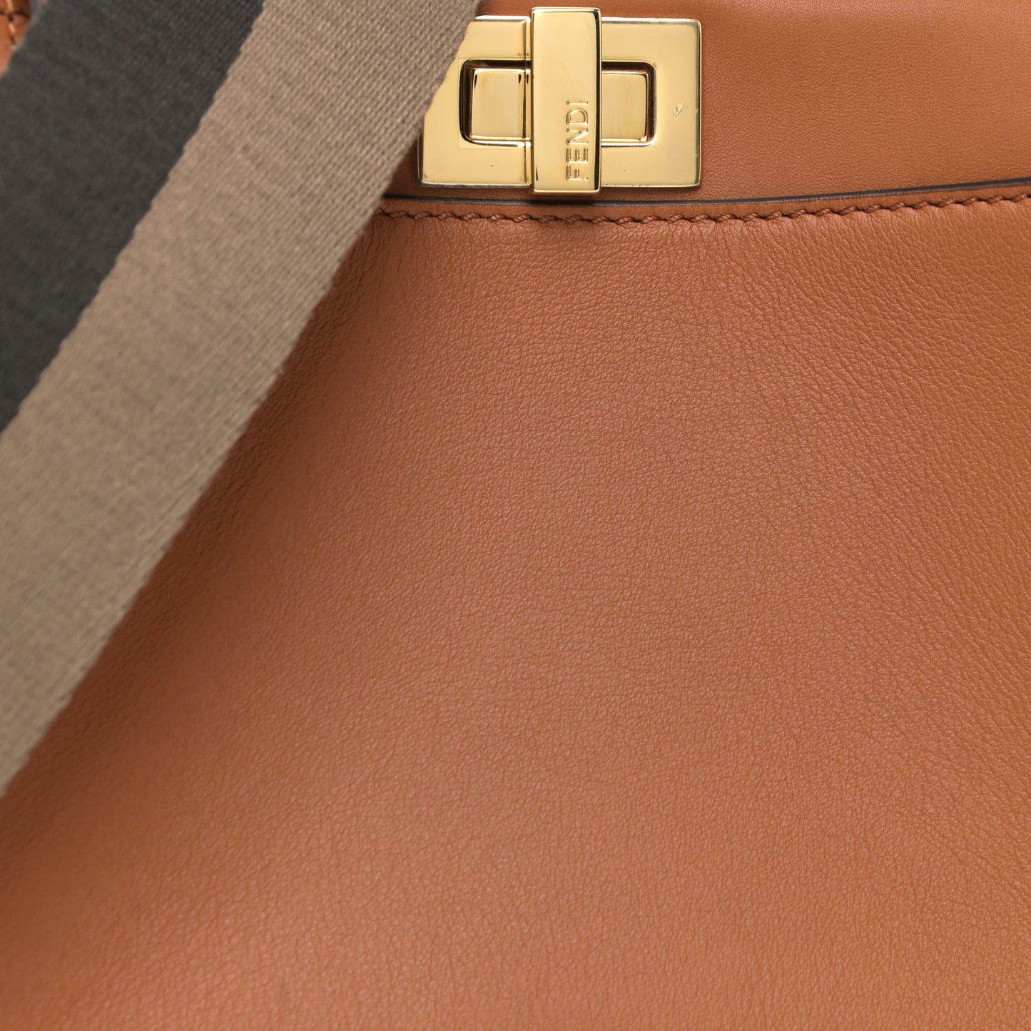 Vitello Seta Canvas FF Embroidered Mini Peekaboo Iconic Satchel Brandy Amazzonia