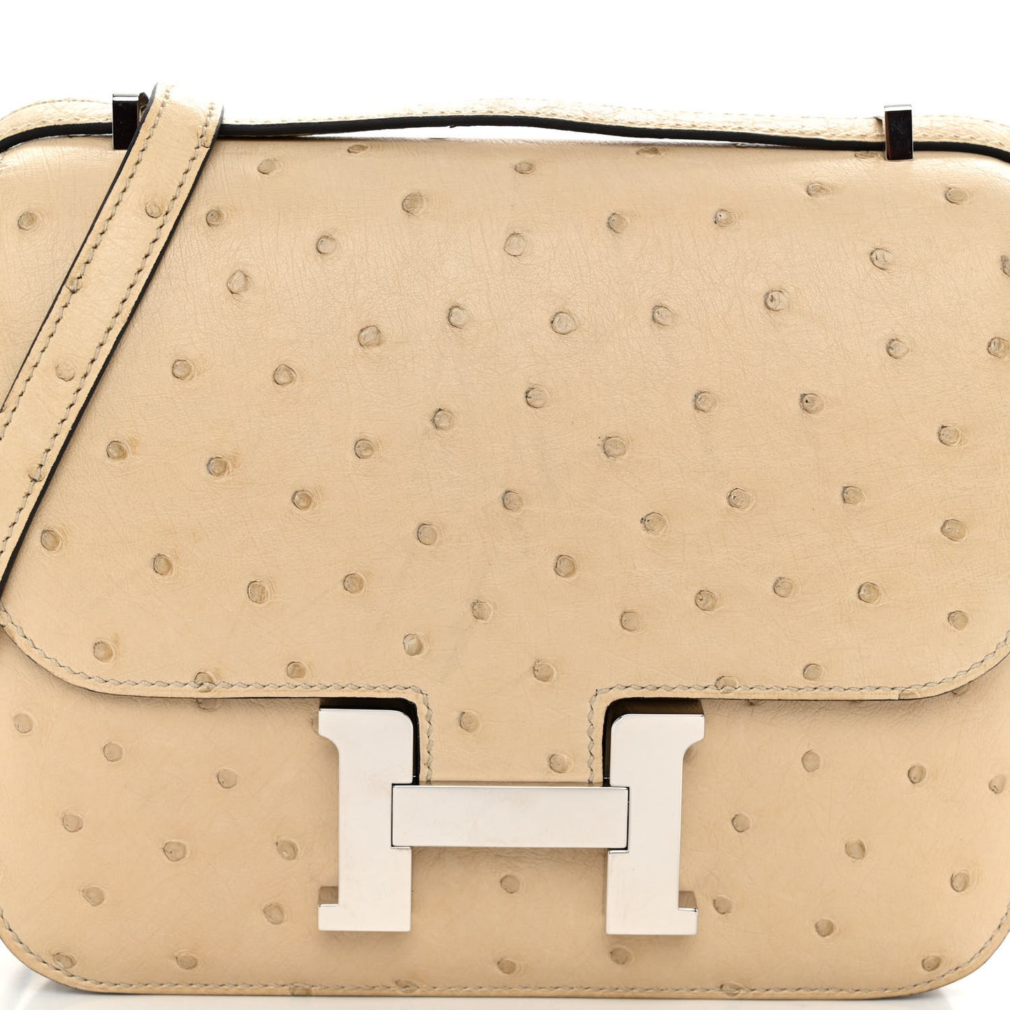 Ostrich Constance 18 Parchemin