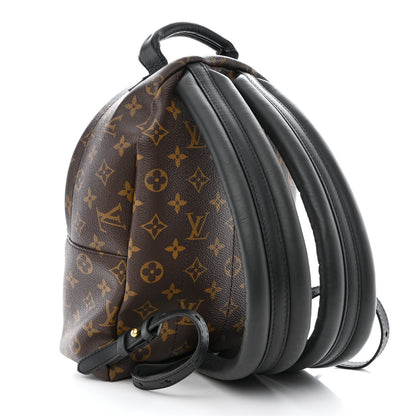 Louis Vuitton Monogram Palm Springs Backpack PM 3 of 9
