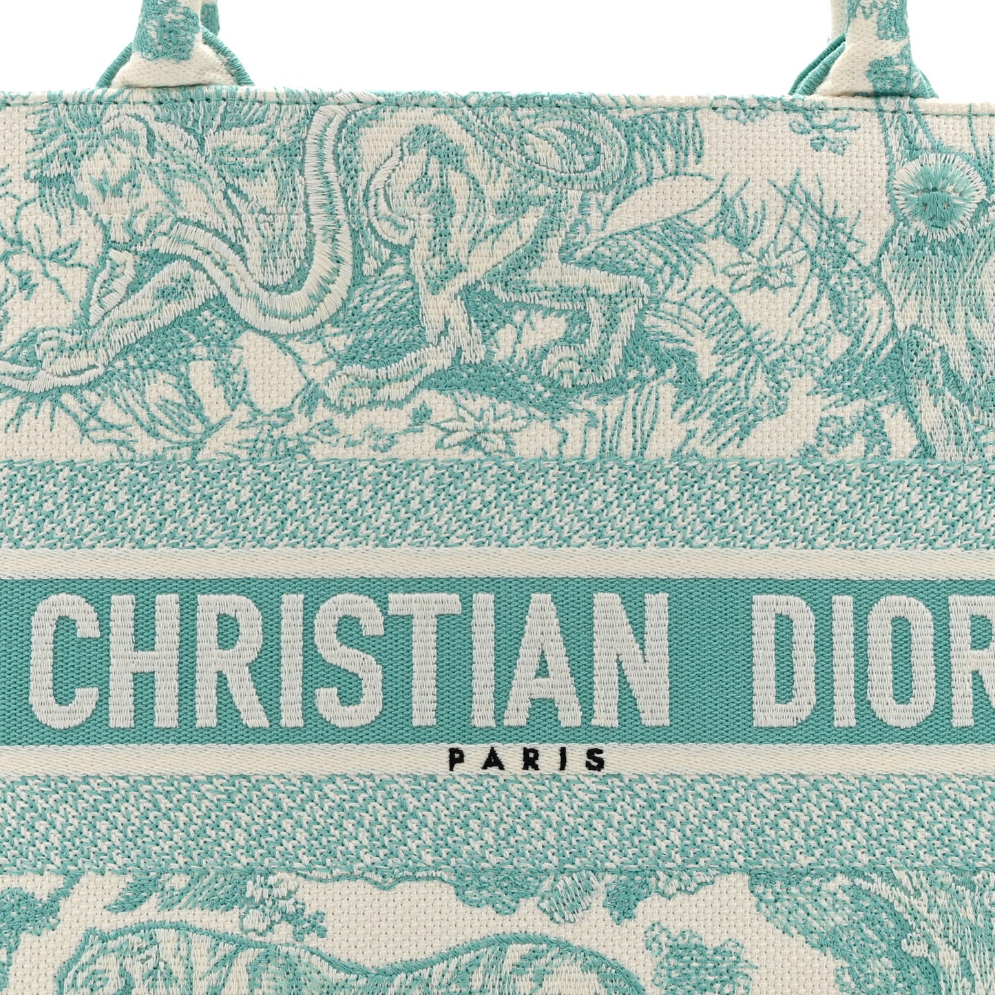 Canvas Embroidered Medium Dioriviera Toile De Jouy Book Tote Aquamarina