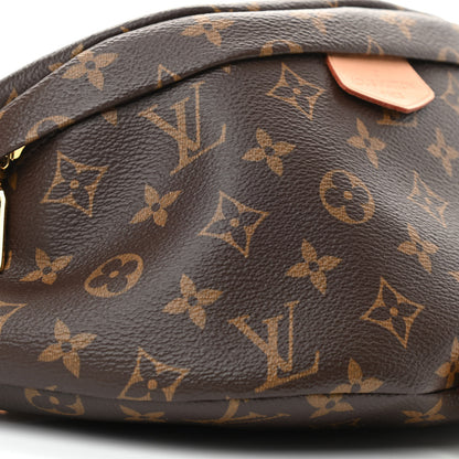 Louis Vuitton Monogram Bumbag 8 of 9