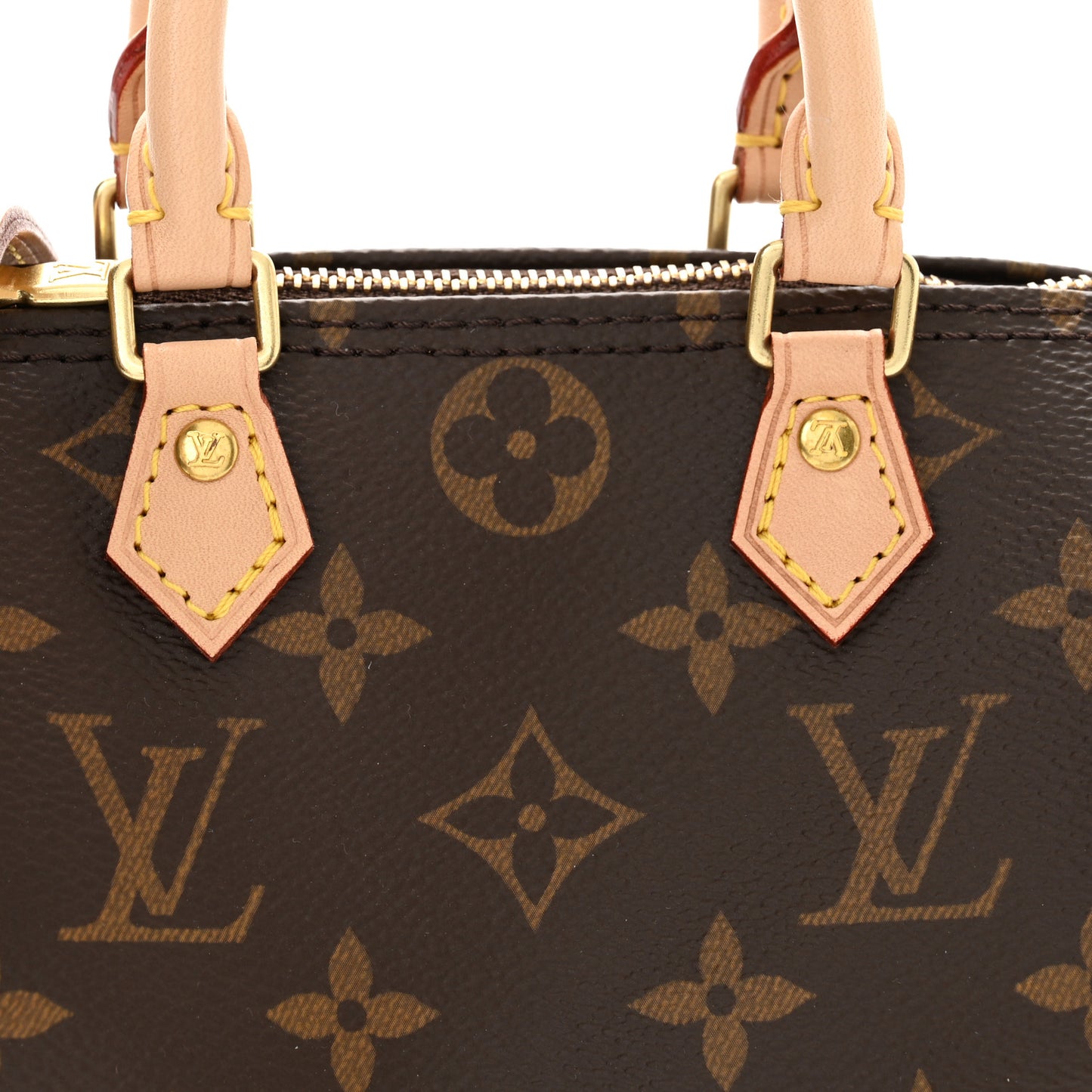 Monogram Nano Speedy