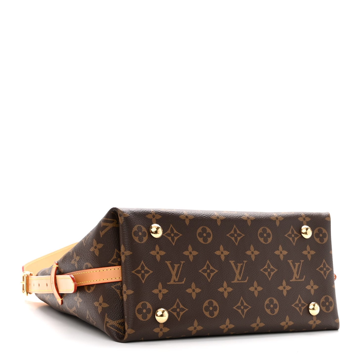 Monogram CarryAll PM