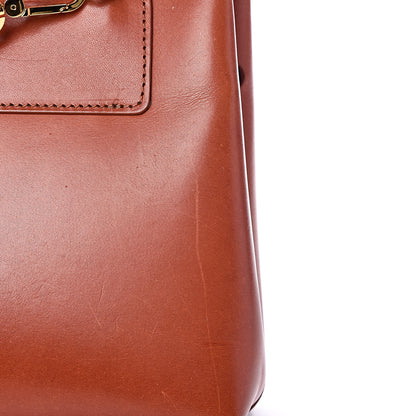 Mansur Gavriel Calfskin Mini Lady Bag Ginger 14 of 17