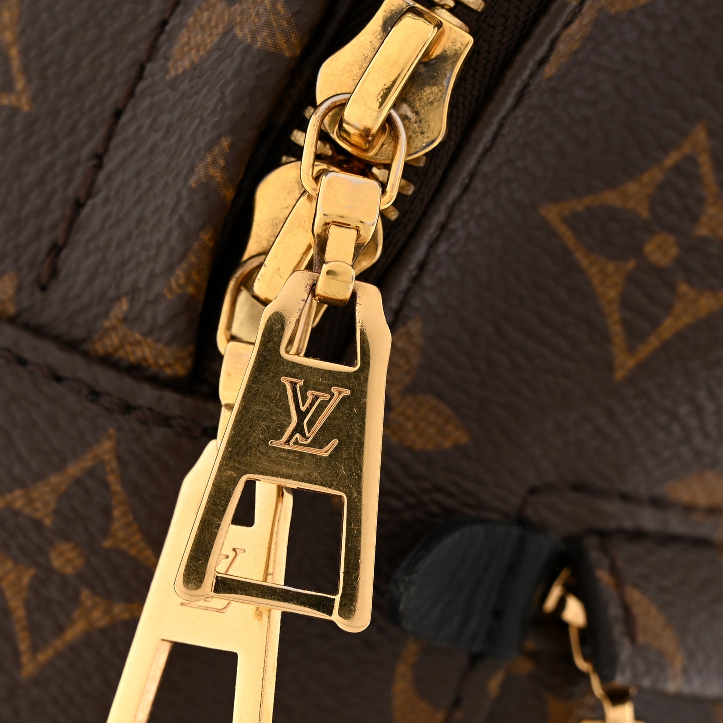 Monogram Palm Springs Backpack PM