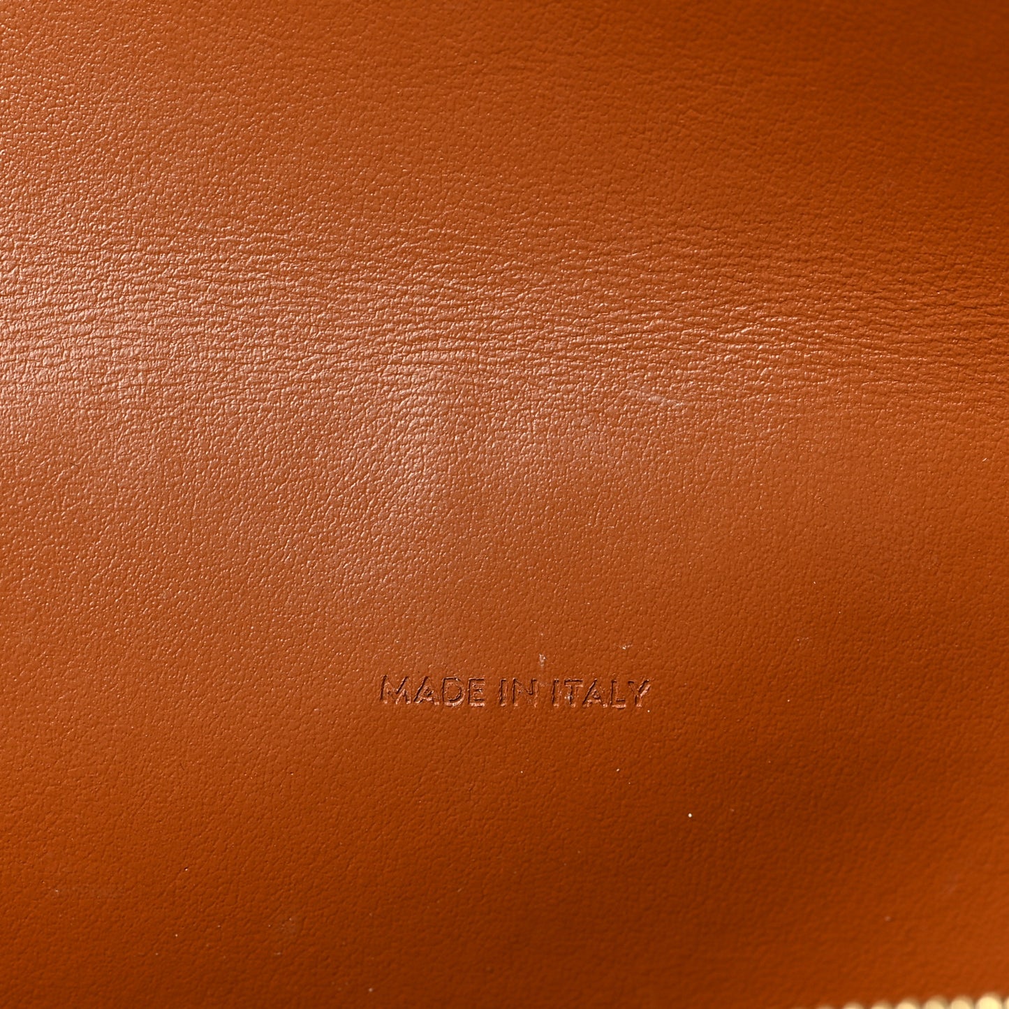 Triomphe Canvas Lambskin Wallet On Strap Tan