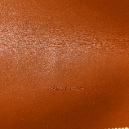Celine Triomphe Canvas Lambskin Wallet On Strap Tan 7 of 9