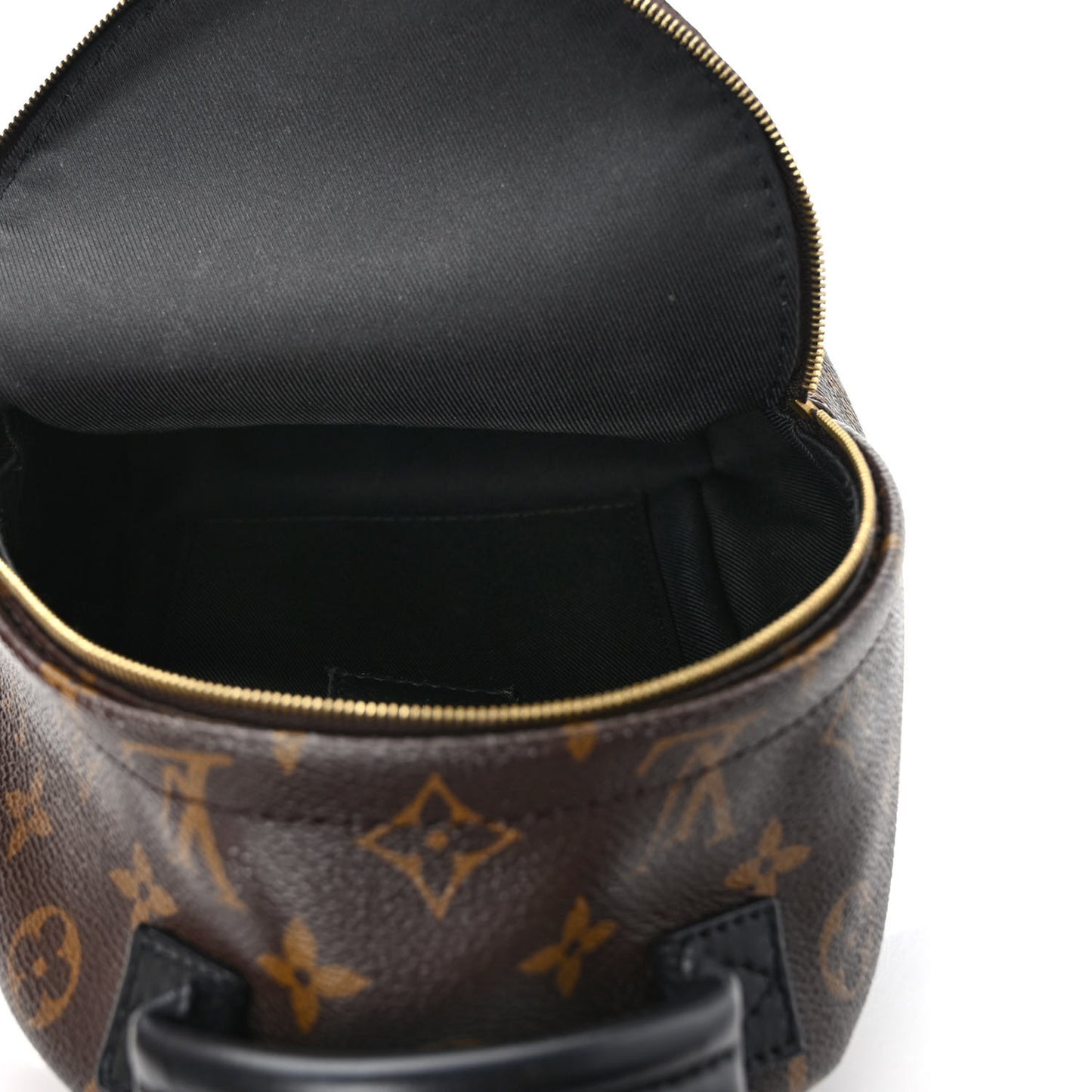 Monogram Palm Springs Backpack Mini