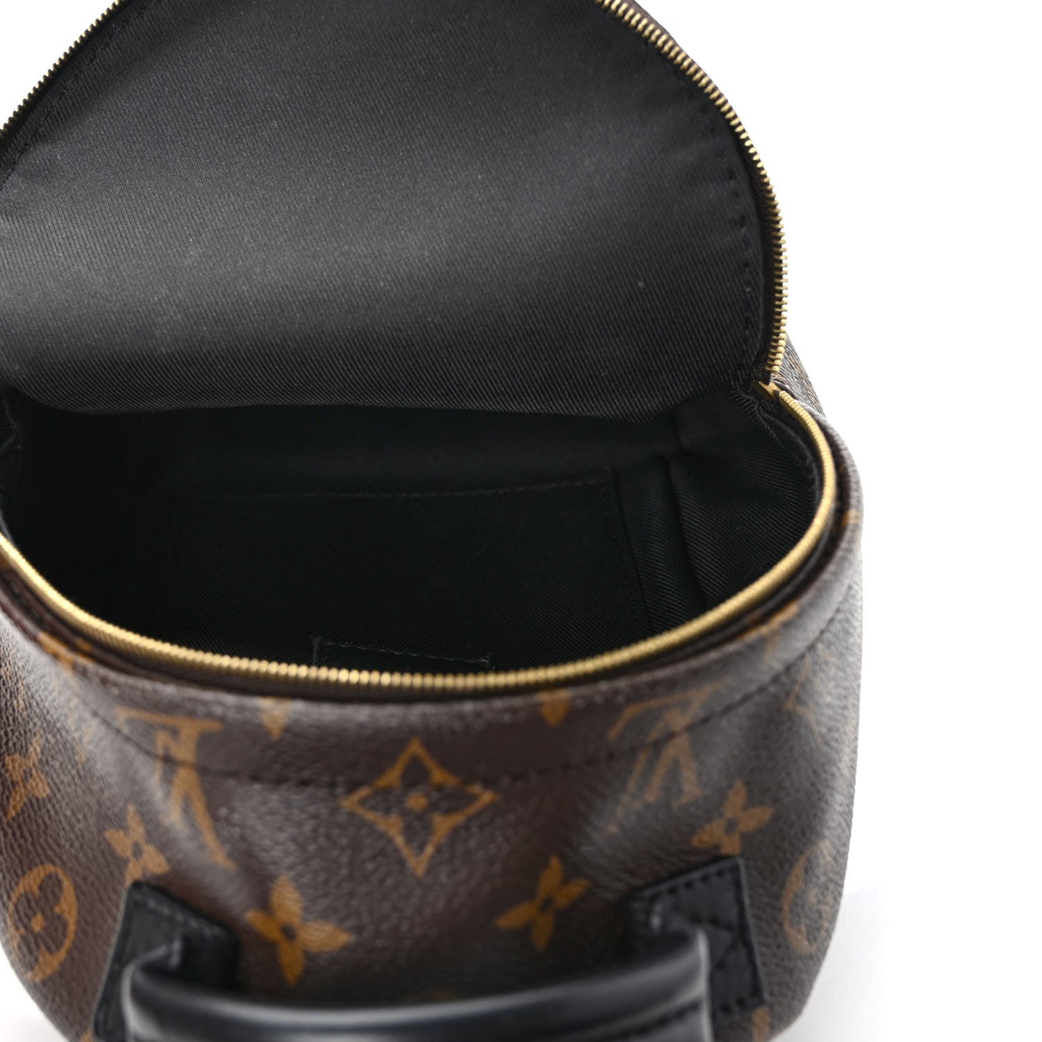 Louis Vuitton Monogram Palm Springs Backpack Mini 5 of 10