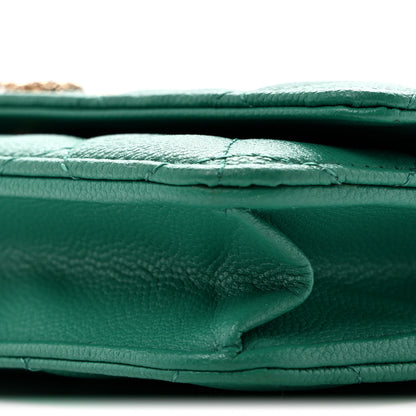 Chanel Caviar Quilted Perforated Metal CC Wallet on Chain WOC Green 11 of 14