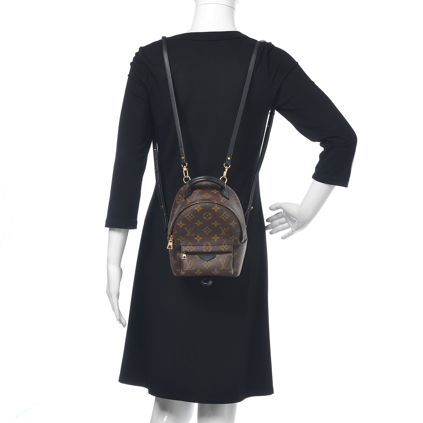 Monogram Palm Springs Backpack Mini