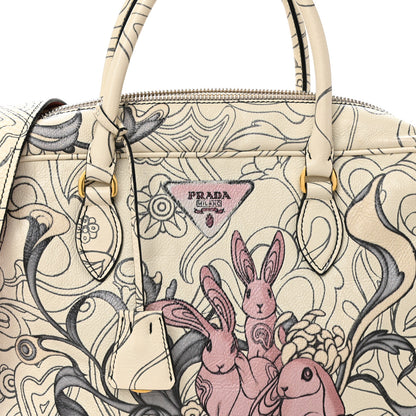 Prada X JAMES JEAN Glace Calfskin Rabbit Print Bauletto Opaline 8 of 11