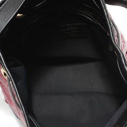 Louis Vuitton Monogram Double Jeu Neo Noe Cranberry 8 of 9