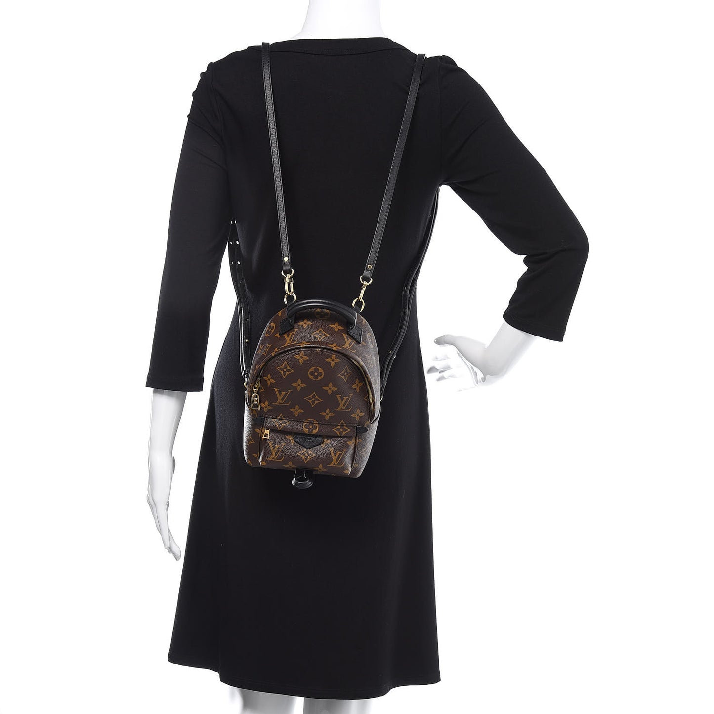 Monogram Palm Springs Backpack Mini