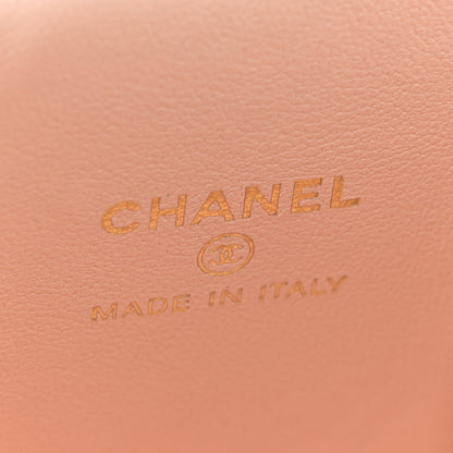 Chanel Lambskin Quilted Mini Sweet Camellia Vanity Case With Chain Beige 6 of 10