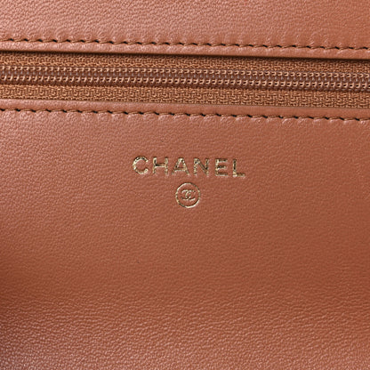 Chanel Lambskin Quilted Chanel 19 Wallet On Chain WOC Brown 6 of 12
