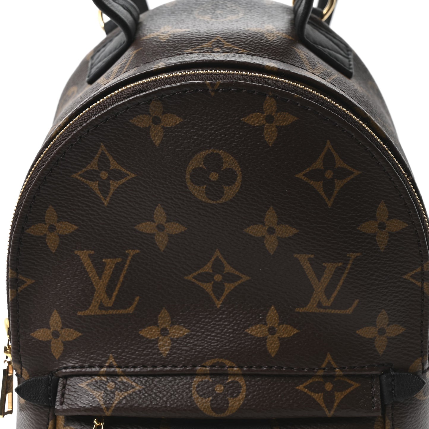 Monogram Palm Springs Backpack Mini