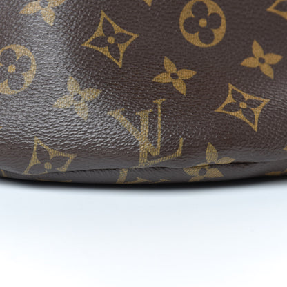 Louis Vuitton Monogram Bumbag 10 of 14